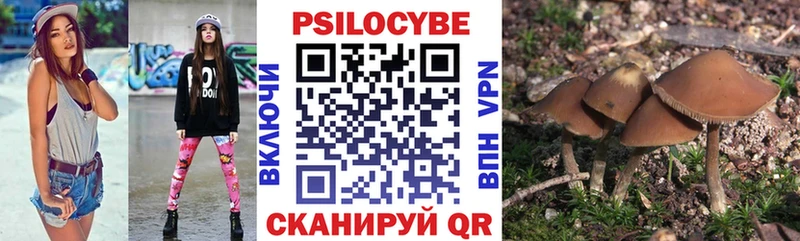 Псилоцибиновые грибы MAGIC MUSHROOMS  купить наркотик  Азнакаево 